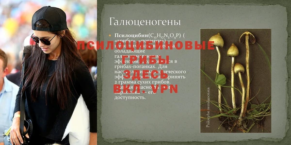 2c-b Алексин