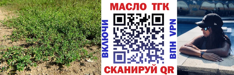 цены   Стародуб  Дистиллят ТГК гашишное масло 