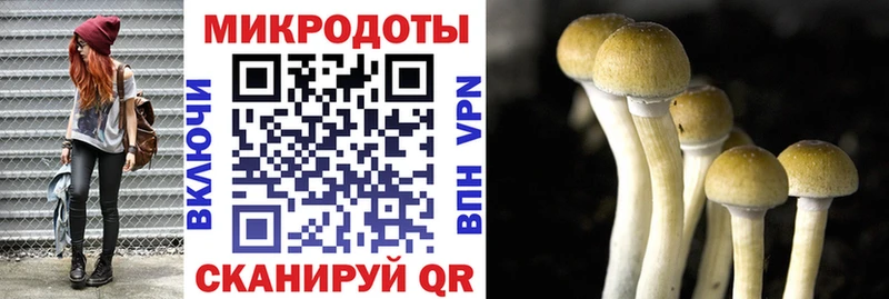 Псилоцибиновые грибы GOLDEN TEACHER Стародуб
